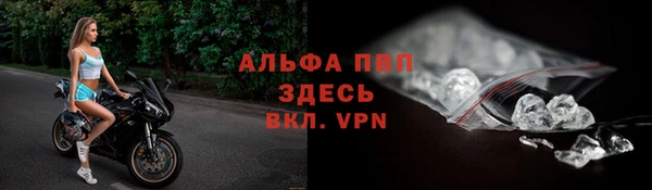ПСИЛОЦИБИНОВЫЕ ГРИБЫ Волосово