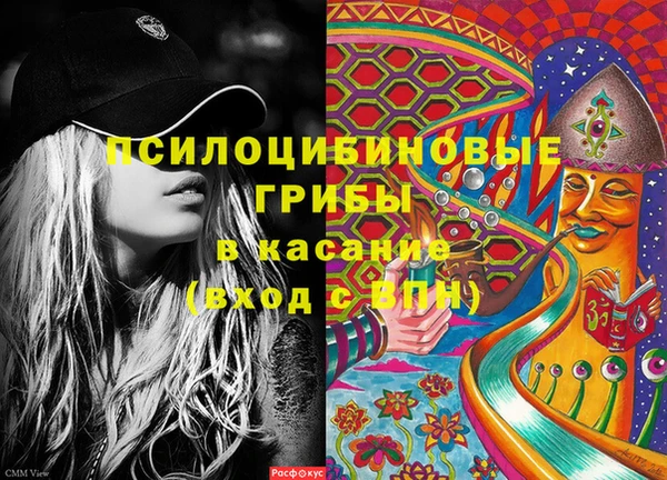 ПСИЛОЦИБИНОВЫЕ ГРИБЫ Волосово
