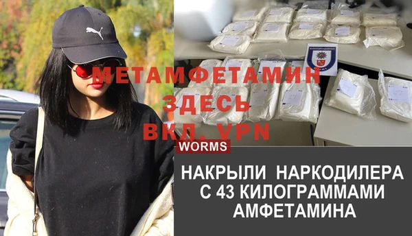 ПСИЛОЦИБИНОВЫЕ ГРИБЫ Волосово