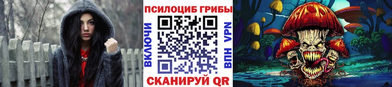 наркотики  Муром  Галлюциногенные грибы мицелий 