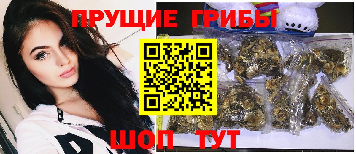 Муром  даркнет сайт  Вход с VPN  Псилоцибиновые грибы прущие грибы  Псилоцибиновые грибы Psilocybine cubensis 